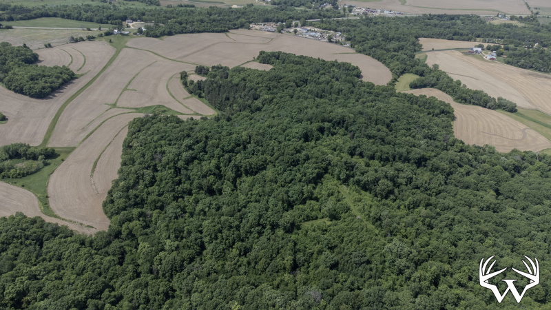 89-DJI_0674.jpg