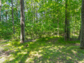 9049SunshineDrE-21.jpg