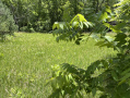92752979-9804-4ac2-a3b4-597ad7bfc518.jpg