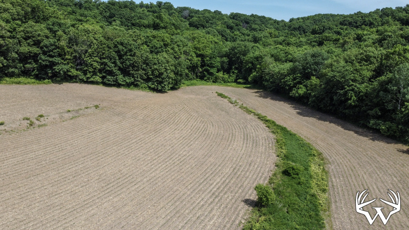 98-DJI_0687_1.jpg