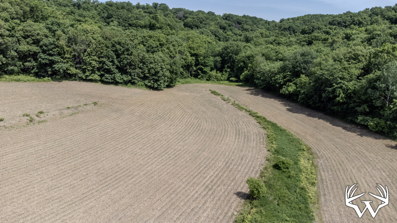 99-DJI_0687_1.jpg