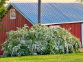 9_11.jpg