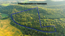 Aerial1_16.jpg
