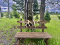 Antlers_2.jpeg