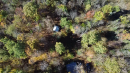 Cabin1.PNG