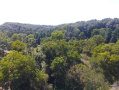 DJI_0005.JPG