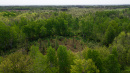 DJI_0006.jpg
