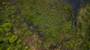 DJI_0009.jpg