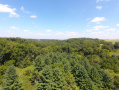DJI_0010.JPG