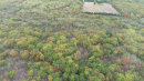 DJI_0011.JPG