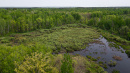 DJI_0012.jpg