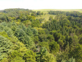 DJI_0012.JPG