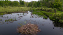 DJI_0013.jpg