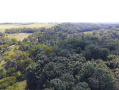 DJI_0015.JPG