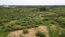 DJI_0017.jpg