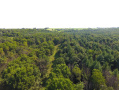 DJI_0021.JPG