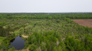 DJI_0022.jpg