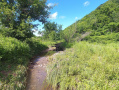 DJI_0032_1.JPG