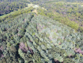 DJI_0034.JPG