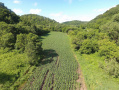 DJI_0037.JPG