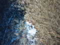 DJI_00972.JPG