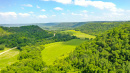 DJI_0120.jpg