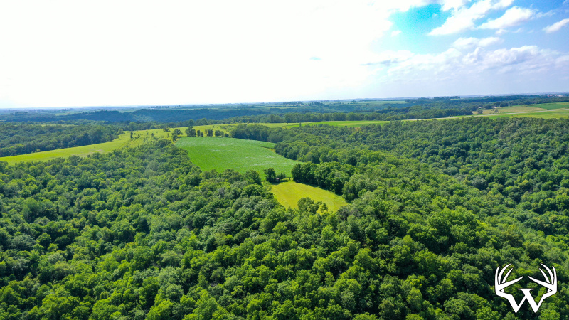 DJI_0122.jpg