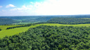 DJI_0124_1.jpg