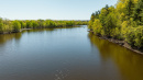 DJI_0131_1.jpg