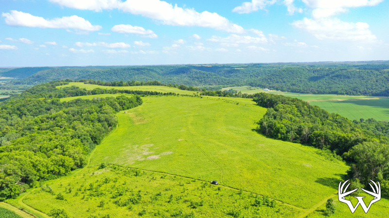 DJI_0131.jpg