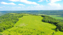 DJI_0131.jpg