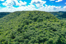 DJI_0137.jpg
