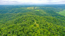 DJI_0149.jpg