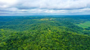 DJI_0150.jpg