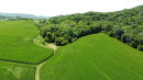 DJI_0168.JPG