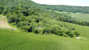 DJI_0171_1.JPG