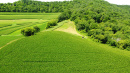 DJI_0172_1.JPG