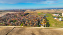 DJI_0180.jpg