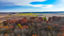 DJI_0192.jpg