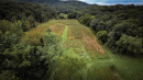 DJI_0193_1.jpg