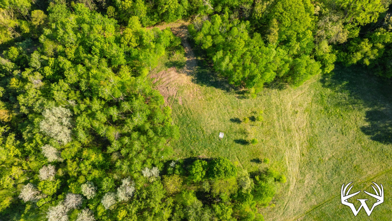 DJI_0224.jpg