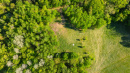 DJI_0224.jpg