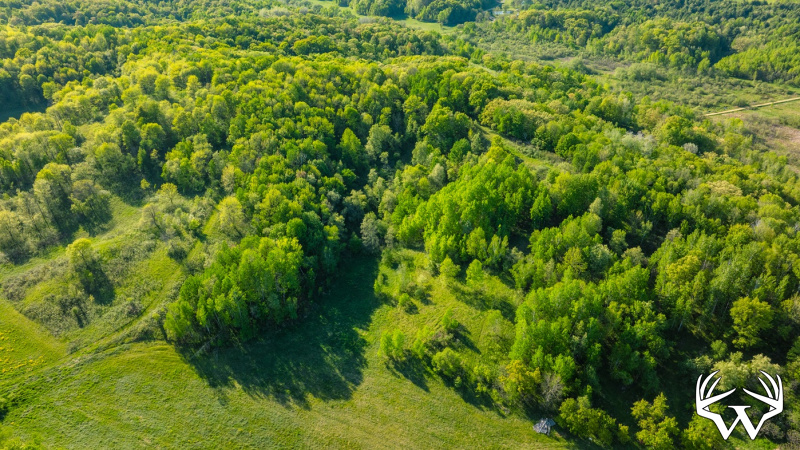 DJI_0225.jpg