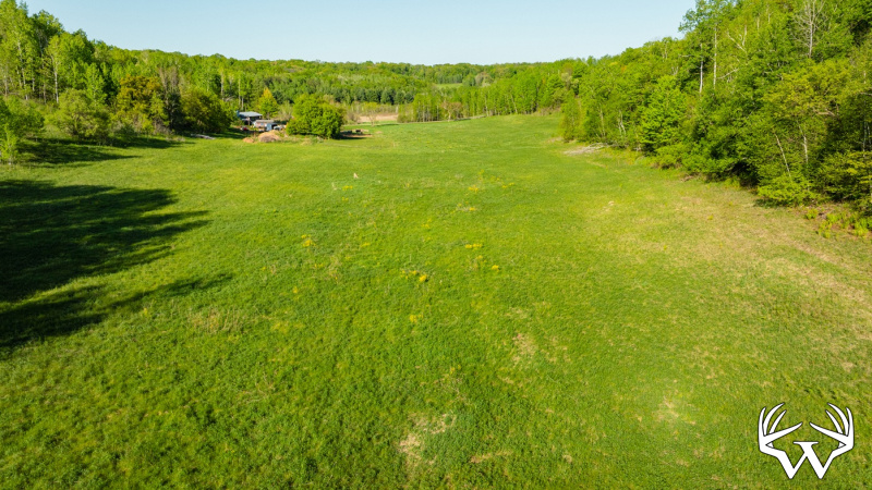 DJI_0229.jpg