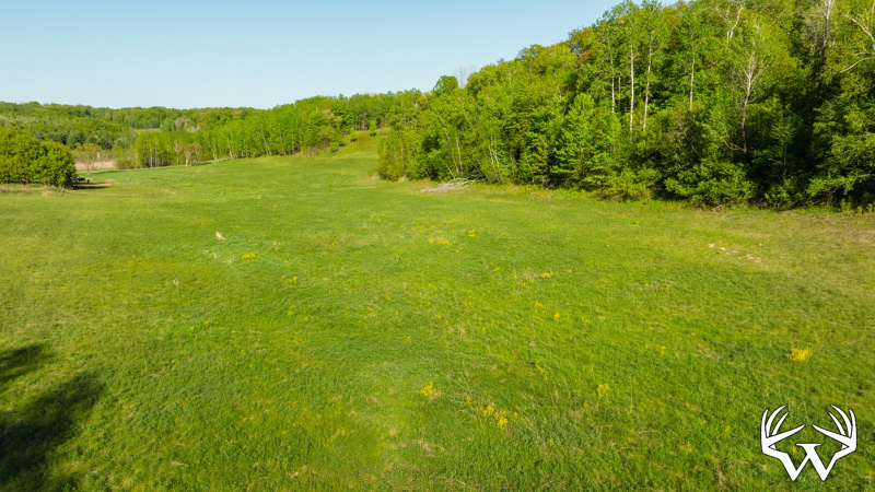 DJI_0230.jpg