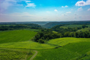 DJI_0237.jpg
