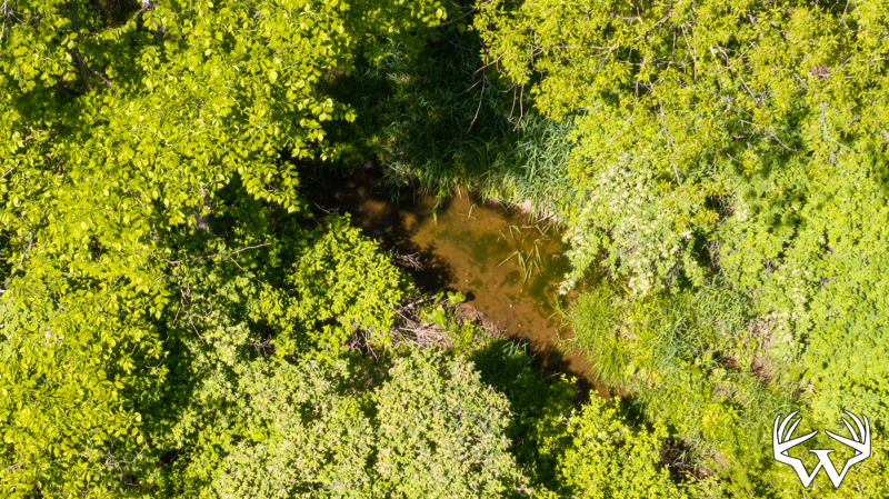 DJI_0241.jpg