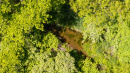 DJI_0241.jpg