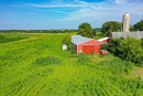 DJI_0256_1.jpg