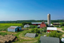 DJI_0261.jpg